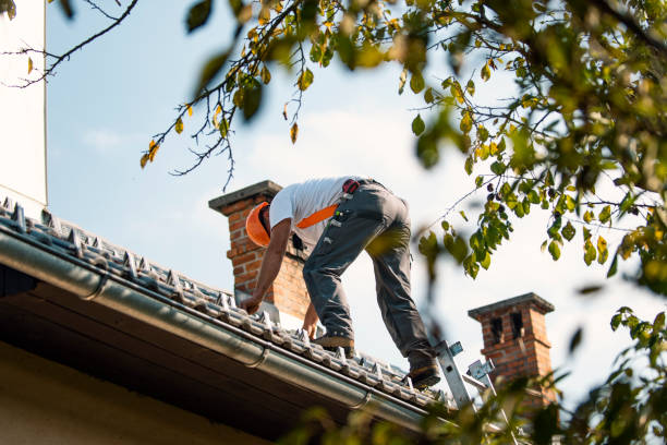 Best New Roof Installation  in Hampden Sydney, VA