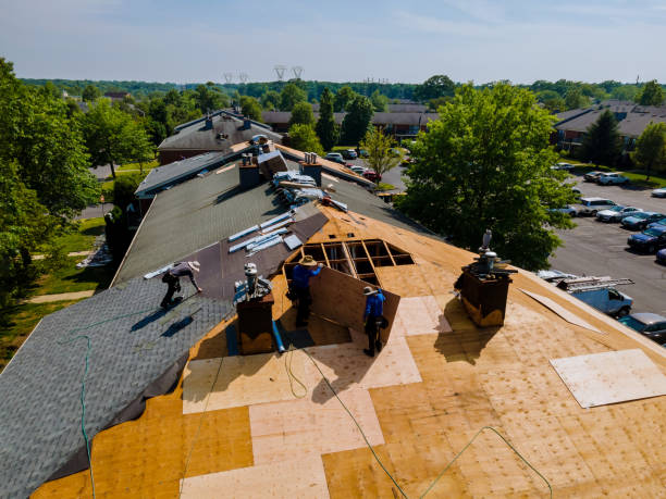 Best Roof Repair Services  in Hampden Sydney, VA