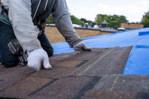 Best Roof Waterproofing Services  in Hampden Sydney, VA