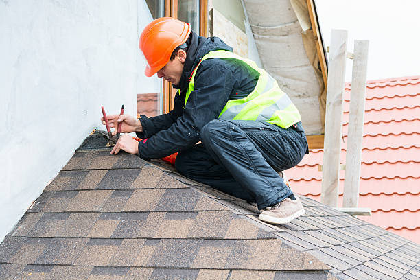 Best Roof Restoration Services  in Hampden Sydney, VA