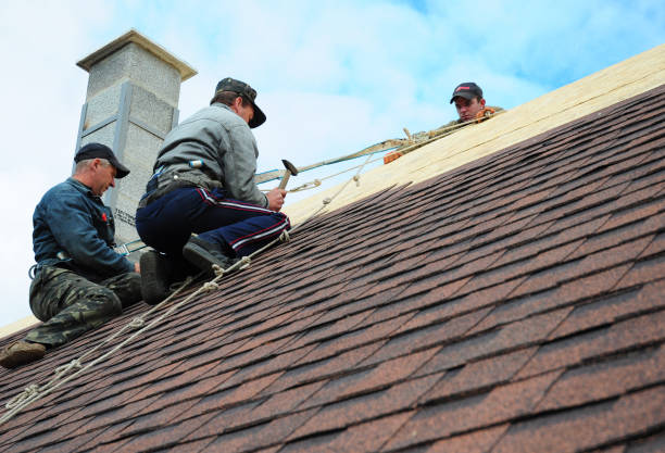 Quick and Trustworthy Emergency Roof Repair Services in Hampden Sydney, VA
