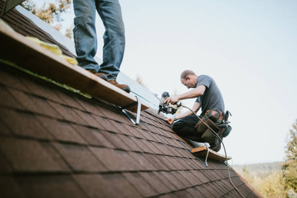 Best Flat Roof Repair Services  in Hampden Sydney, VA